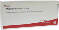 MAGNESIT/MAMMA comp.Ampullen